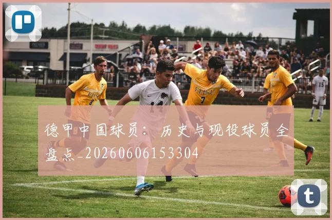 德甲中国球员:历史与现役球员全盘点_20260606153304